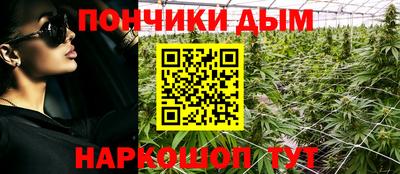 сатива Ставрополь