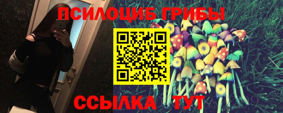 Псилоцибиновые грибы Psilocybine cubensis Ноябрьск